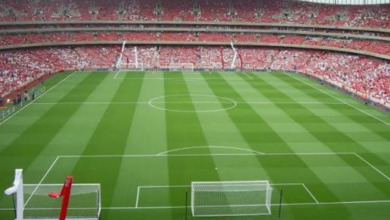 Emirates Stadium Capacity