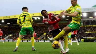 Southampton F.C. vs Norwich City Standings