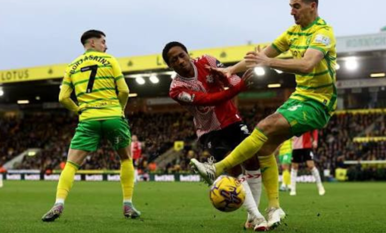 Southampton F.C. vs Norwich City Standings