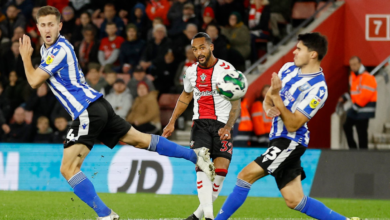 Southampton F.C. vs Sheffield Wednesday Standings