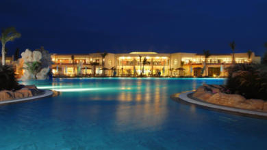 Hilton Sharks Bay